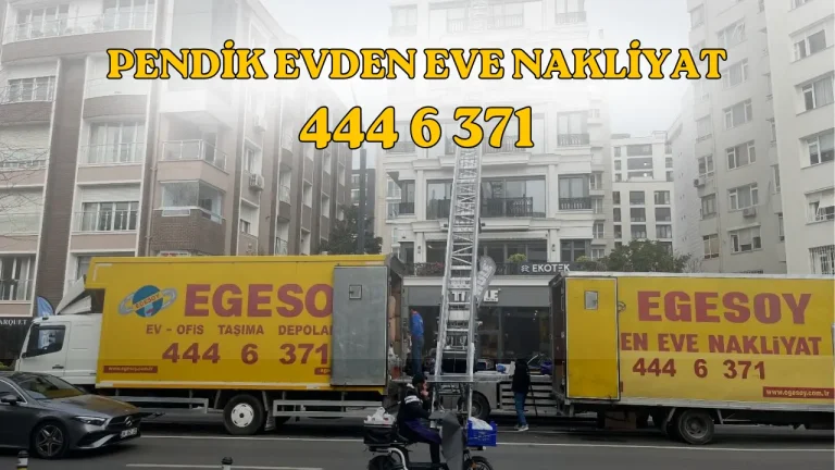 pendik evden eve nakliyat firması