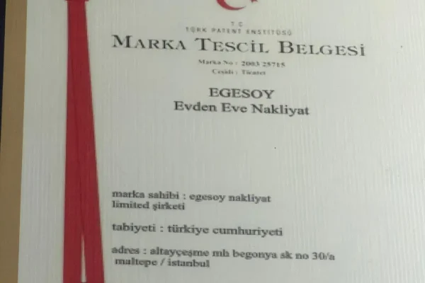 egesoy patent