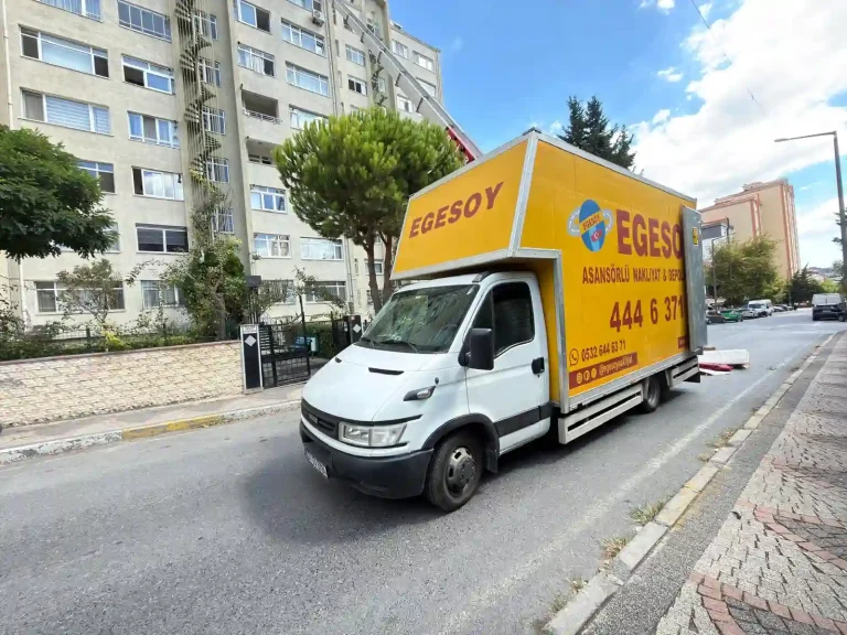egesoy nakliyat görseli